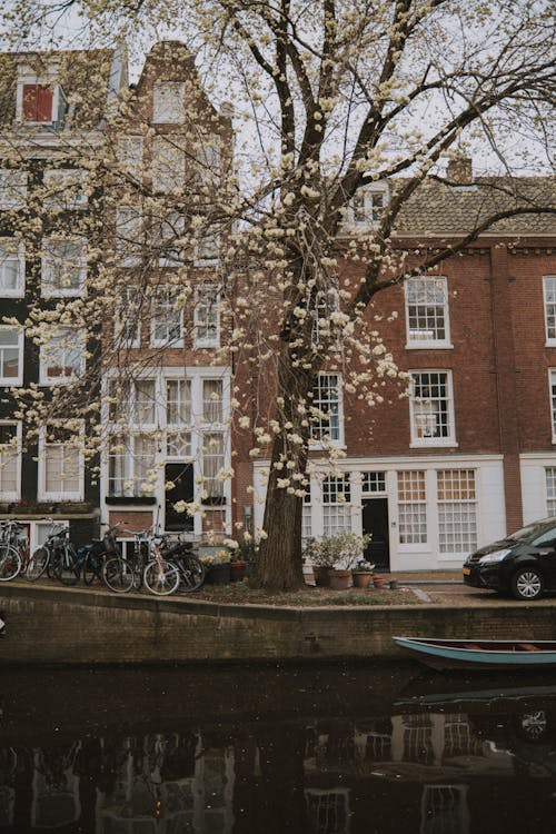 Townhouses and Parked Bicycles in Amsterdam 