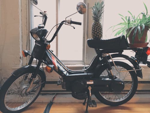 Pineapple Fruit on Motorized Bike