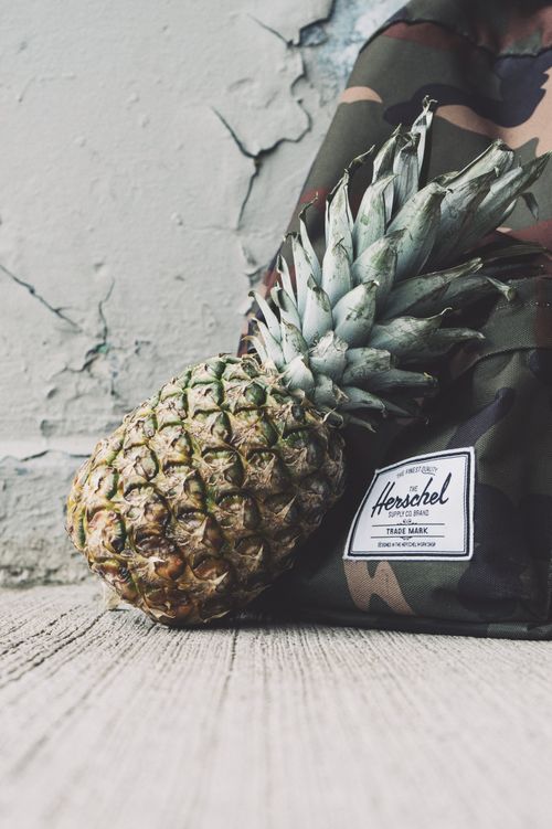 herschel backpack pineapple Little America Herschel Supply Co. USA Free Stock Photo of Pineapple