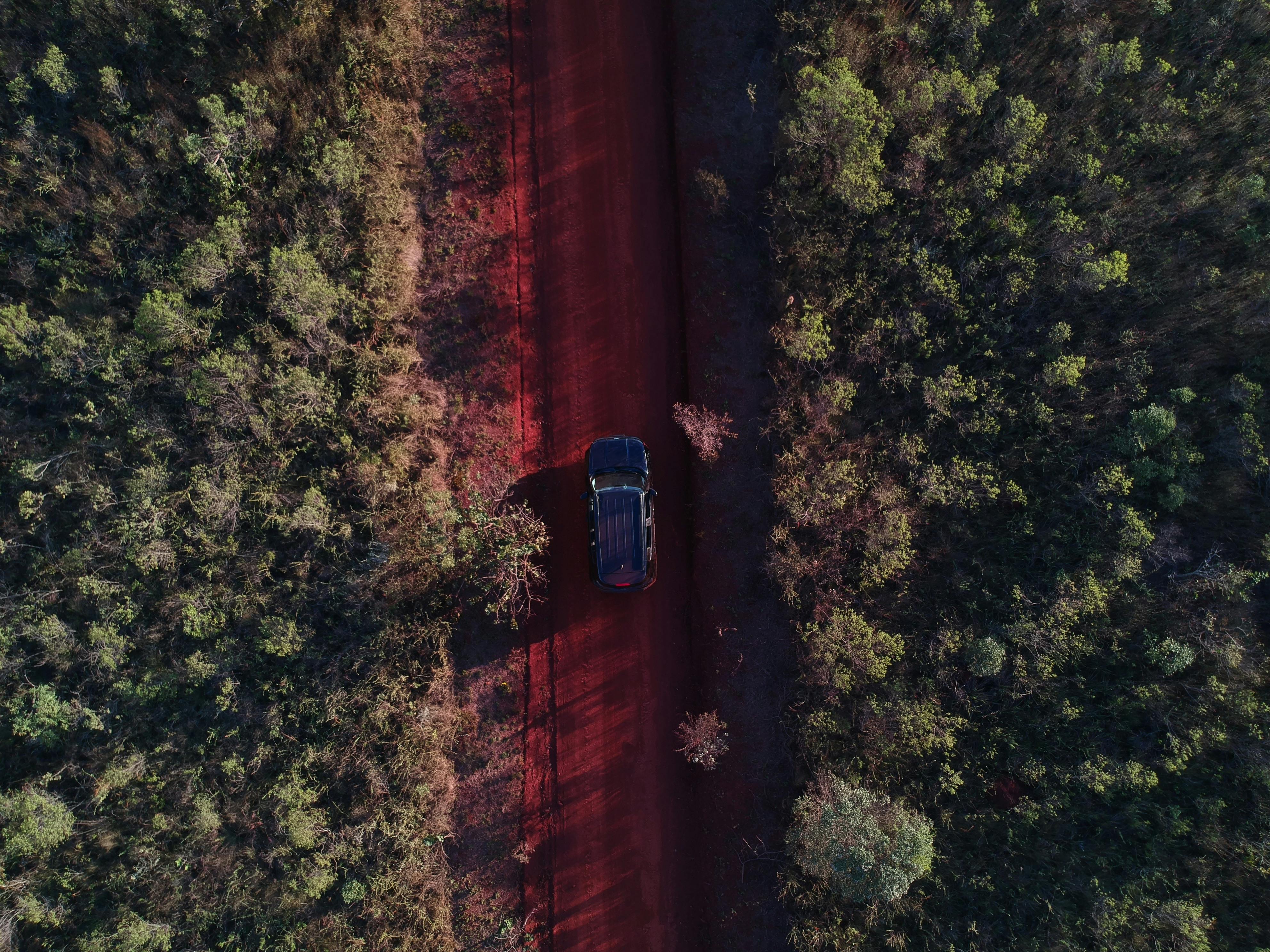evs explained sustainability — Photo by Denner Trindade on Pexels