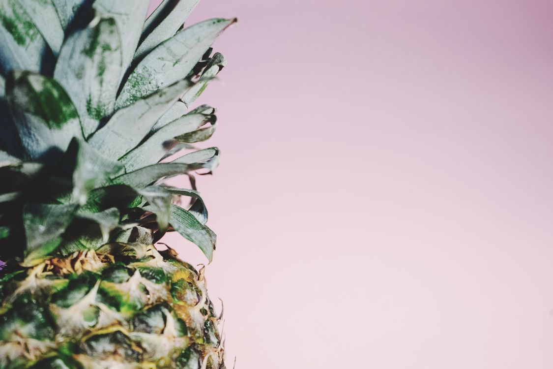 Pineapple · Free Stock Photo