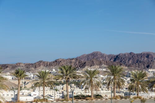 Rocky Hills over Town with Palm Trees 