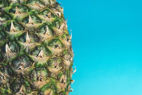 Kostnadsfria Kostnadsfri bild av ananas, disjunkta, färger Stock foto