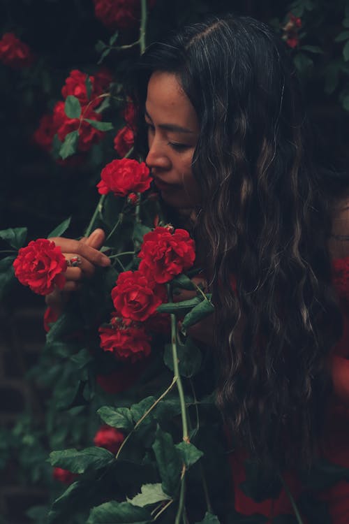 Brunette Woman Smelling Red Roses