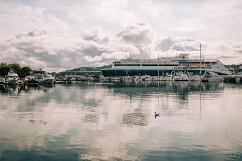 A Cruise Ship and Boats in the Port 