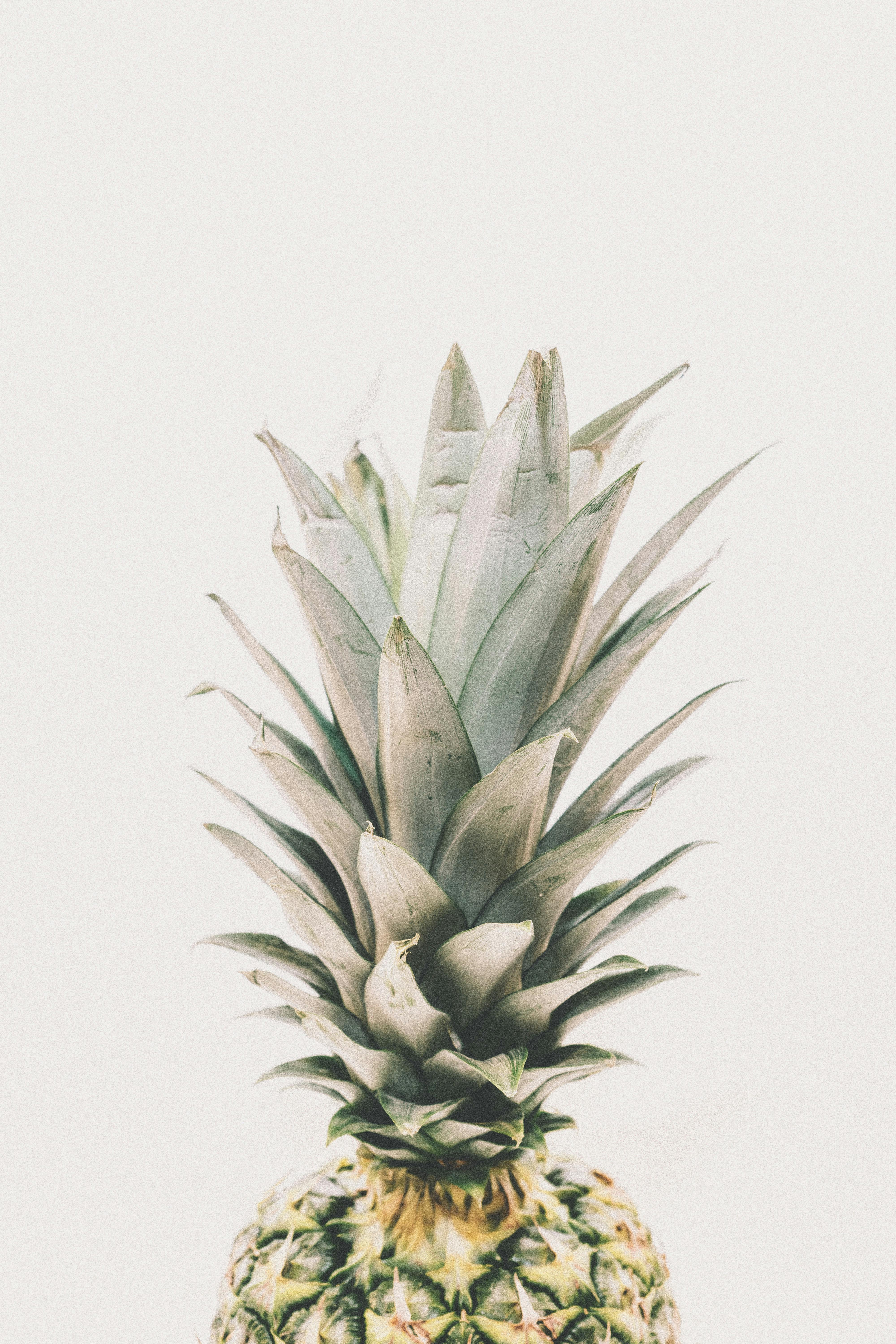 Pineapple Background Images HD Pictures and Wallpaper For Free Download   Pngtree