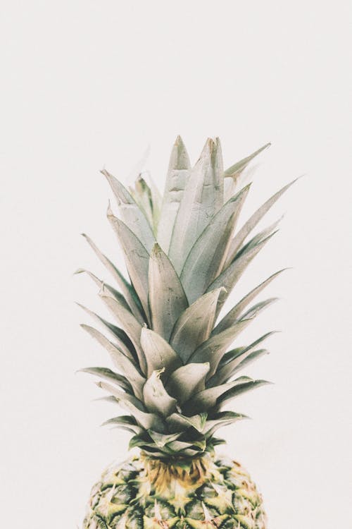 Free Photography Of Pineapple Stock Photo