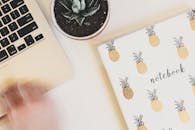 工作区的顶视图包括笔记本电脑、菠萝图案笔记本和多汁植物