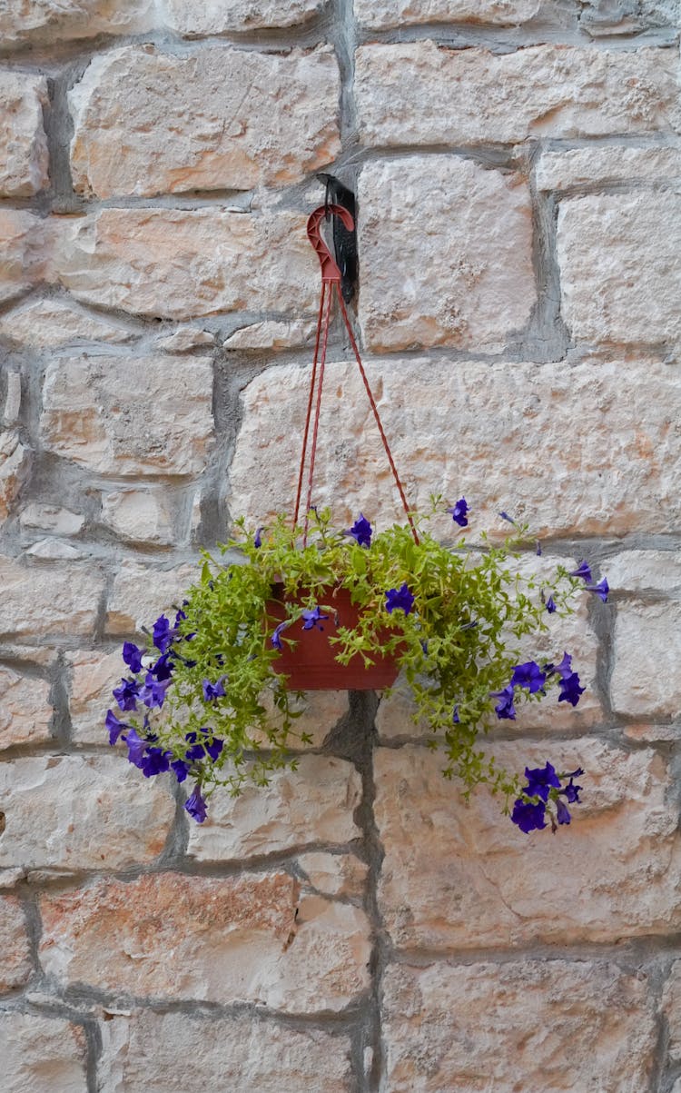 A Flower Pot With Petunias Hanging On A Stone Wall 