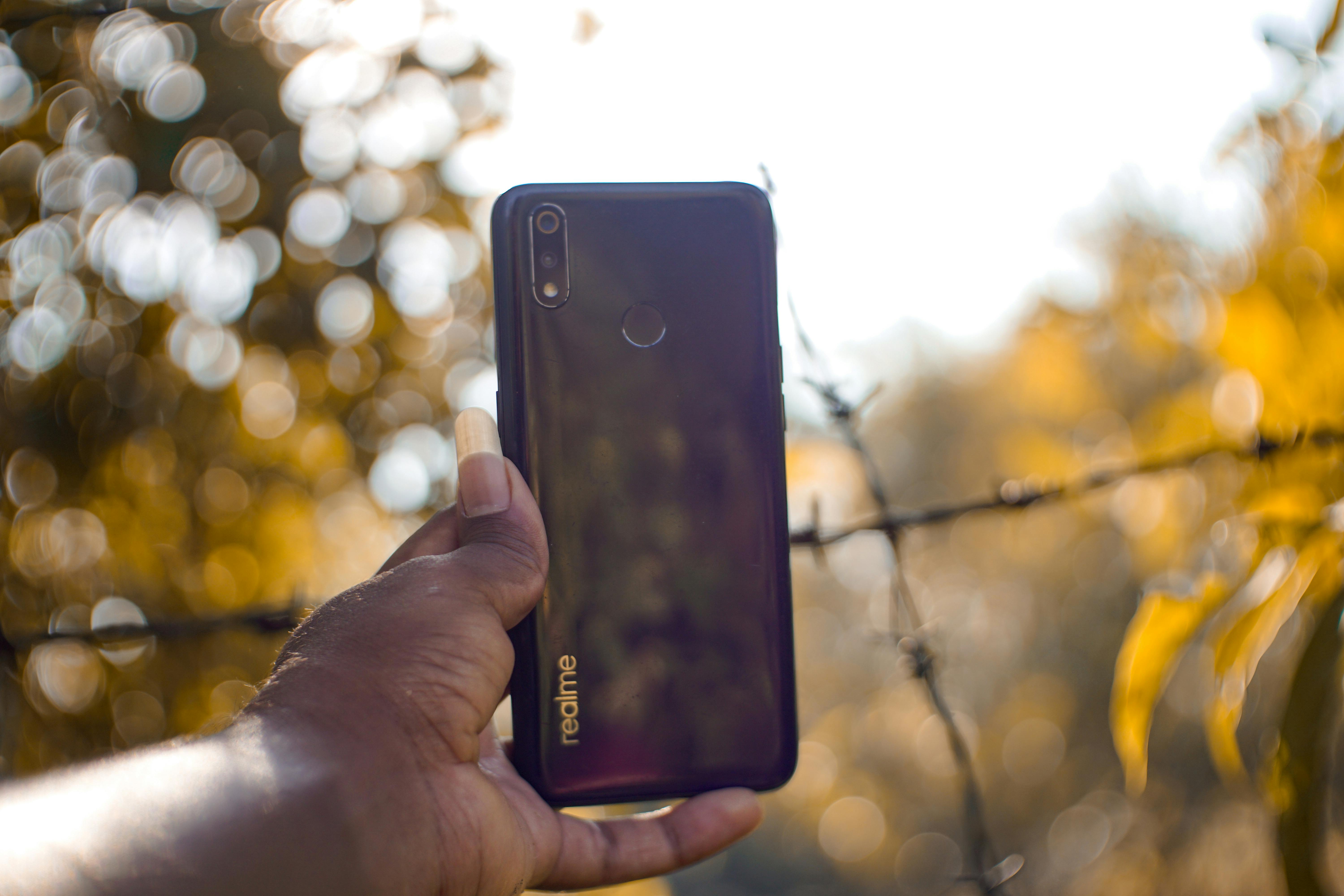 New AI technology helps reunite lost pets with owners faster — Photo by Soundarapandian MS on Pexels
