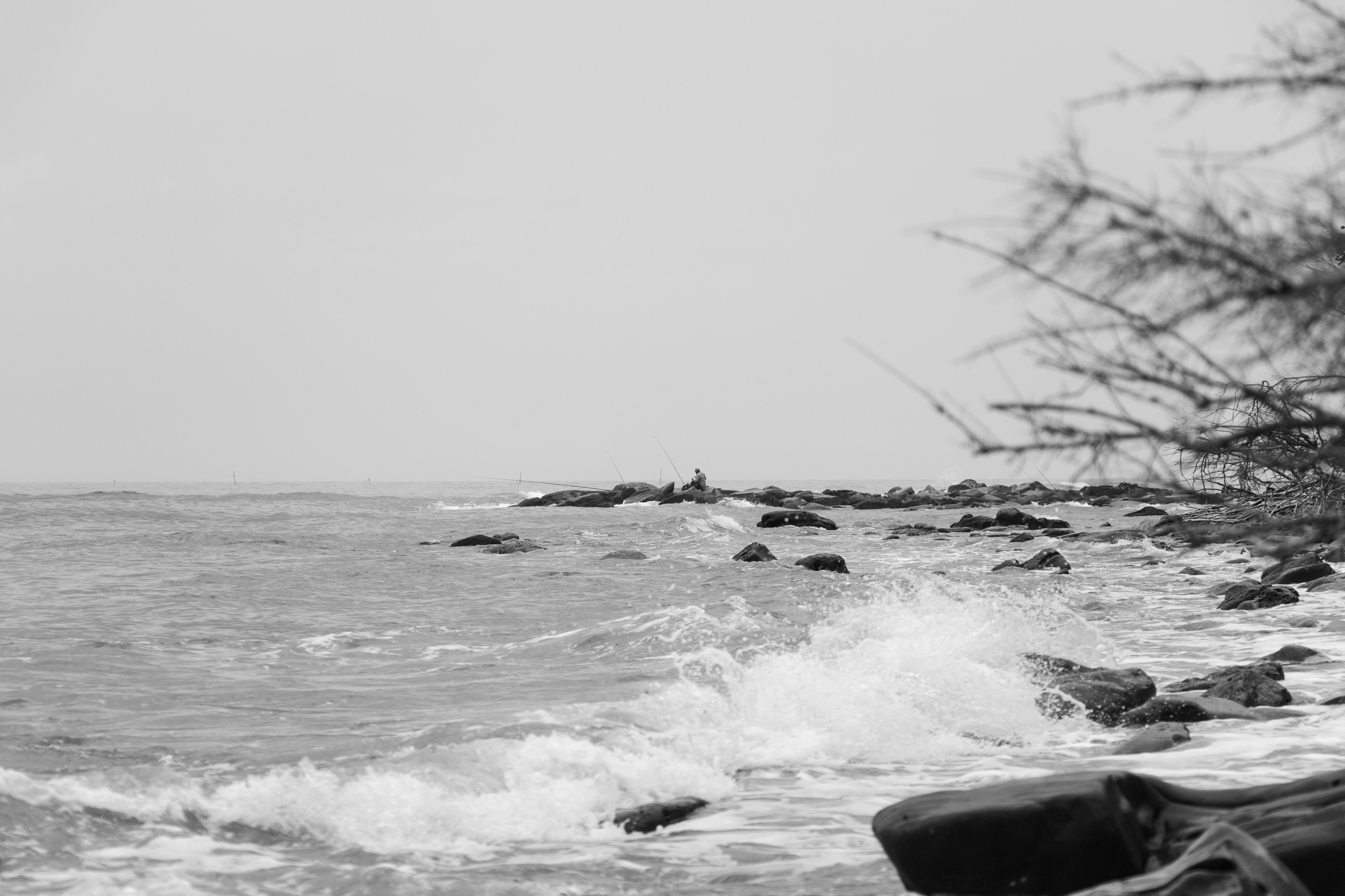 Black and White Photo of a Rocky Shore · Free Stock Photo