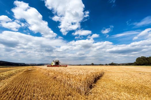 A combine harvester working on a vast wheat field under a bright blue sky.