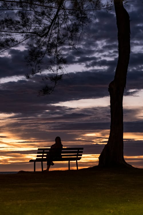 Silhouette of a Person Sitting on a Bench by a Tree at Sunset 