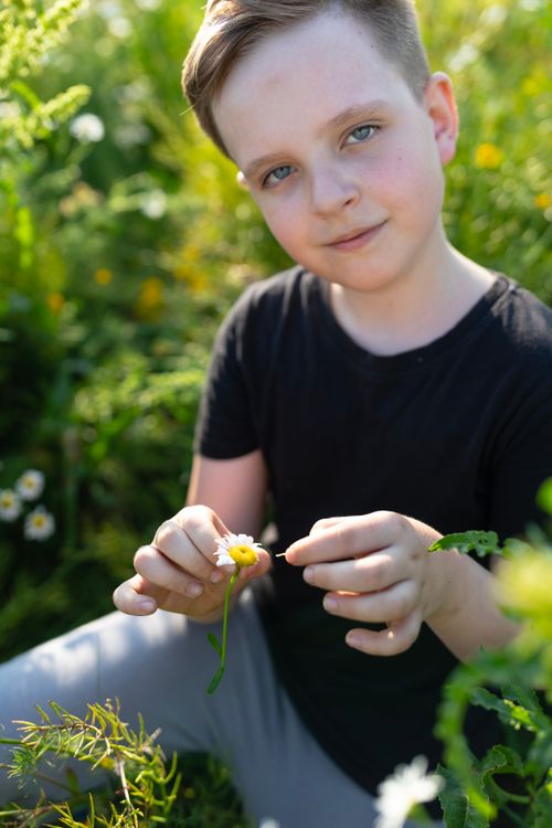Free A joyful child sitting in a meadow, holding a chamomile flower under bright summer sunlight. Stock Photo