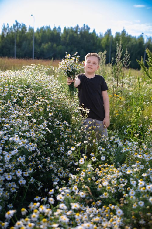 Free A cheerful boy holding a bouquet of wildflowers stands in a lush summer field. Stock Photo