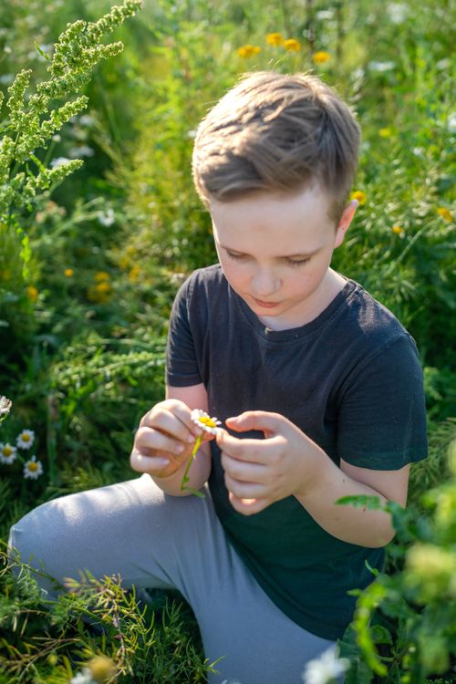 Free A young boy with short brown hair examines a flower in a vibrant meadow. Stock Photo
