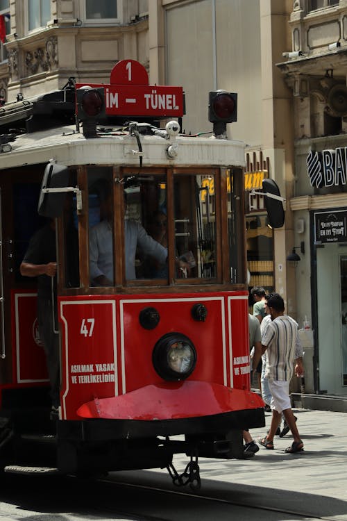 Imagine de stoc gratuită din călătorie, cicek pasaji, curcan