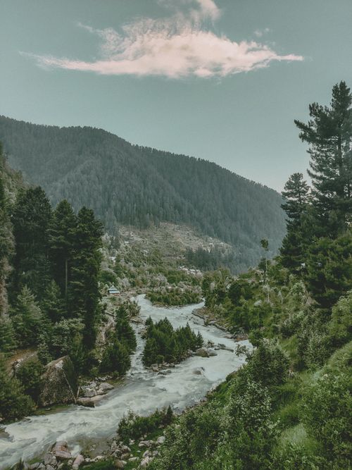 Free Serene river flowing through forested mountains under a cloudy sky. Stock Photo