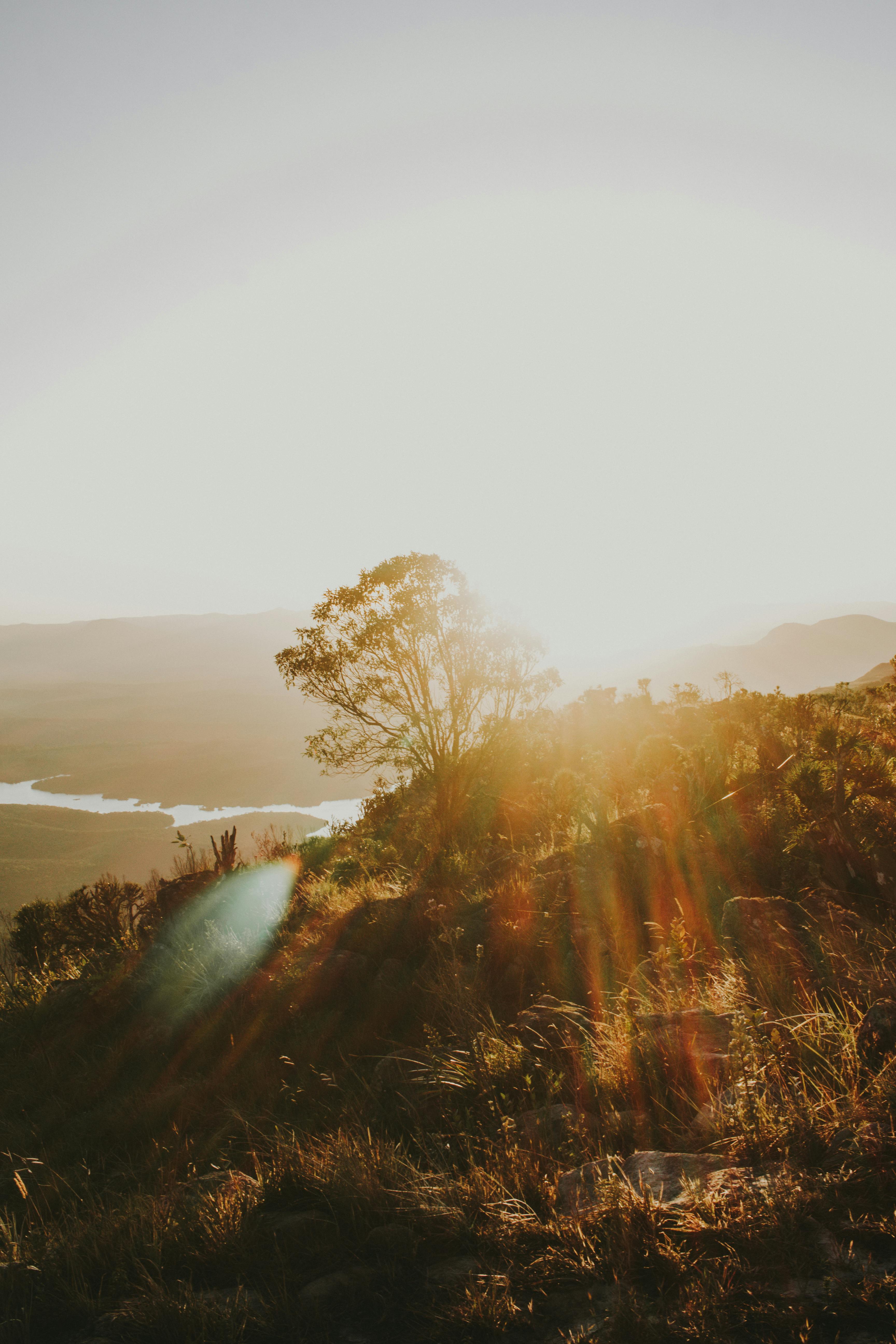 Unleashing the Potential: The Art of Elevating Your Mornings with Invigorating Greetings