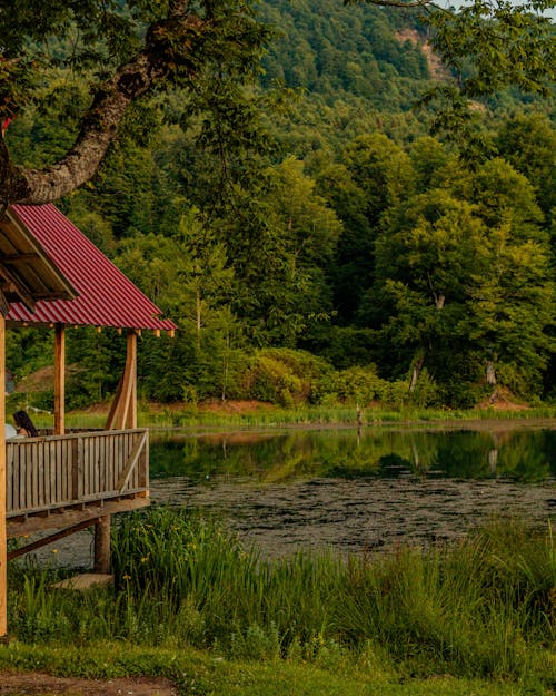 Kostenloses Stock Foto zu lager, natur, plateau