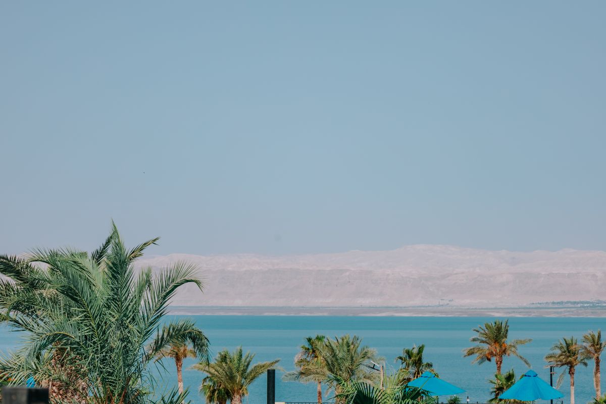 Serene tropical resort with palm trees overlooking a blue sea and mountains in the background.