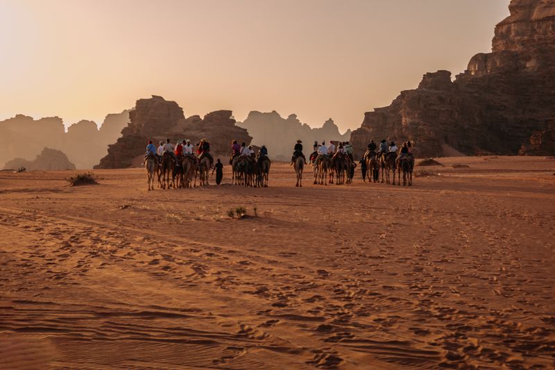 Camel Caravan at Sunset