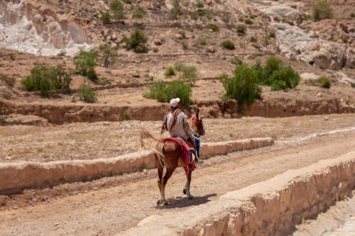 Back View of a Man Horseback Riding in a Desert 