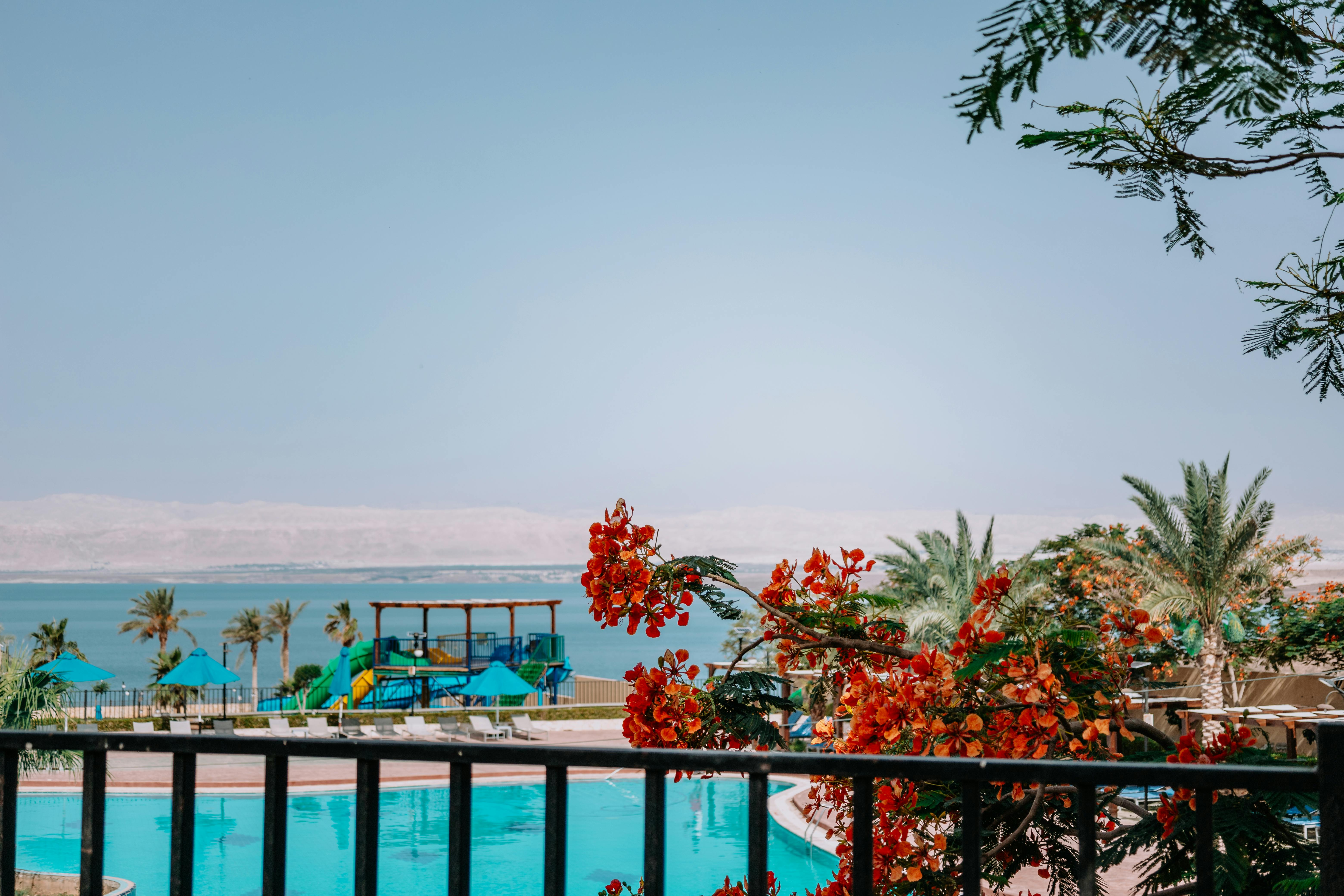 19 Under-the-Radar Spring Travel Deals Worth Booking Now — Photo by Andrea Imre on Pexels