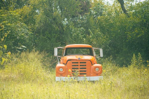 A Vintage Abandoned Truck on a Grass Field 