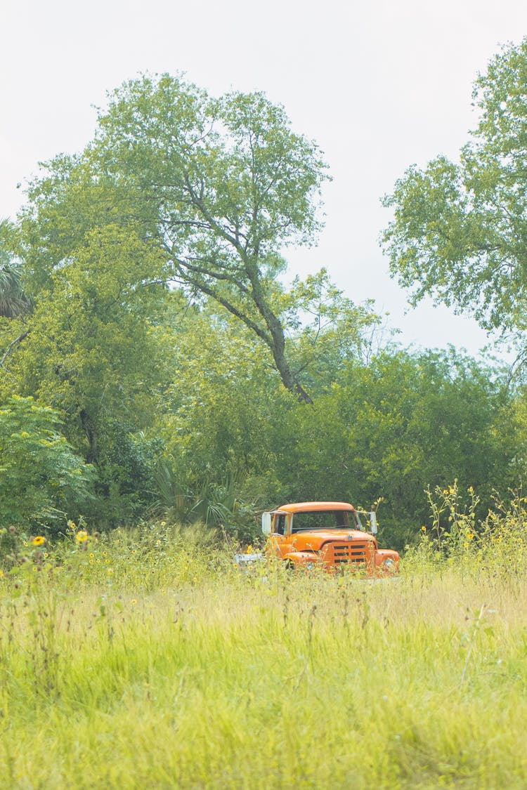 Truck In Countryside