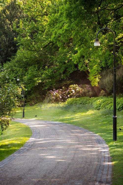 Free A picturesque pathway winding through a lush green park adorned with foliage and streetlights. Stock Photo