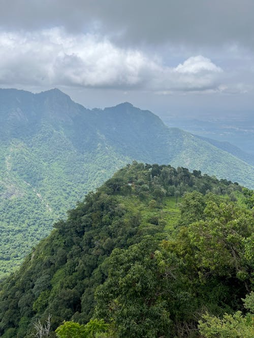 丘陵, 全景, 垂直拍摄 的 免费素材图片