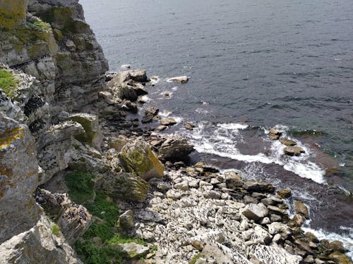 View of a Cliff and Rocky Beach 
