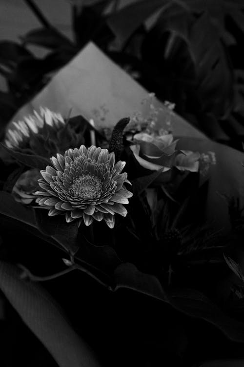 Black and White Photo of a Bouquet 