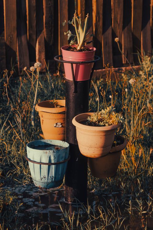 Free Colorful potted plants on stand in a rustic outdoor garden, creating a vibrant aesthetic. Stock Photo