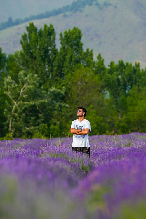 Free A man standing in a blooming lavender field surrounded by lush greenery and mountains. Stock Photo