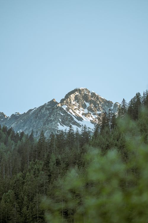 Free A breathtaking view of a snow-capped mountain surrounded by lush evergreen forest under a clear blue sky. Stock Photo
