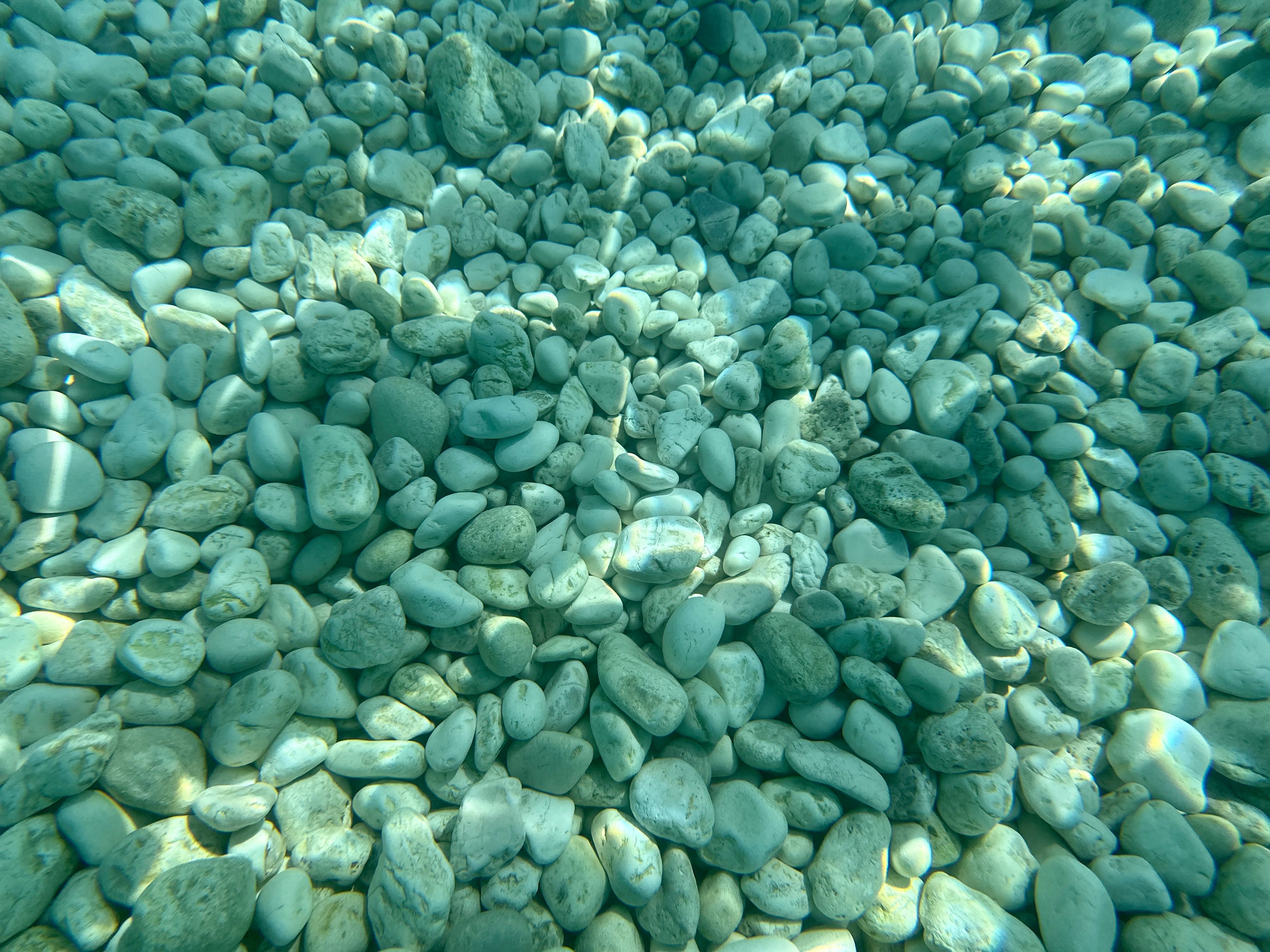 A tranquil view of smooth pebbles on the seabed captured underwater.
