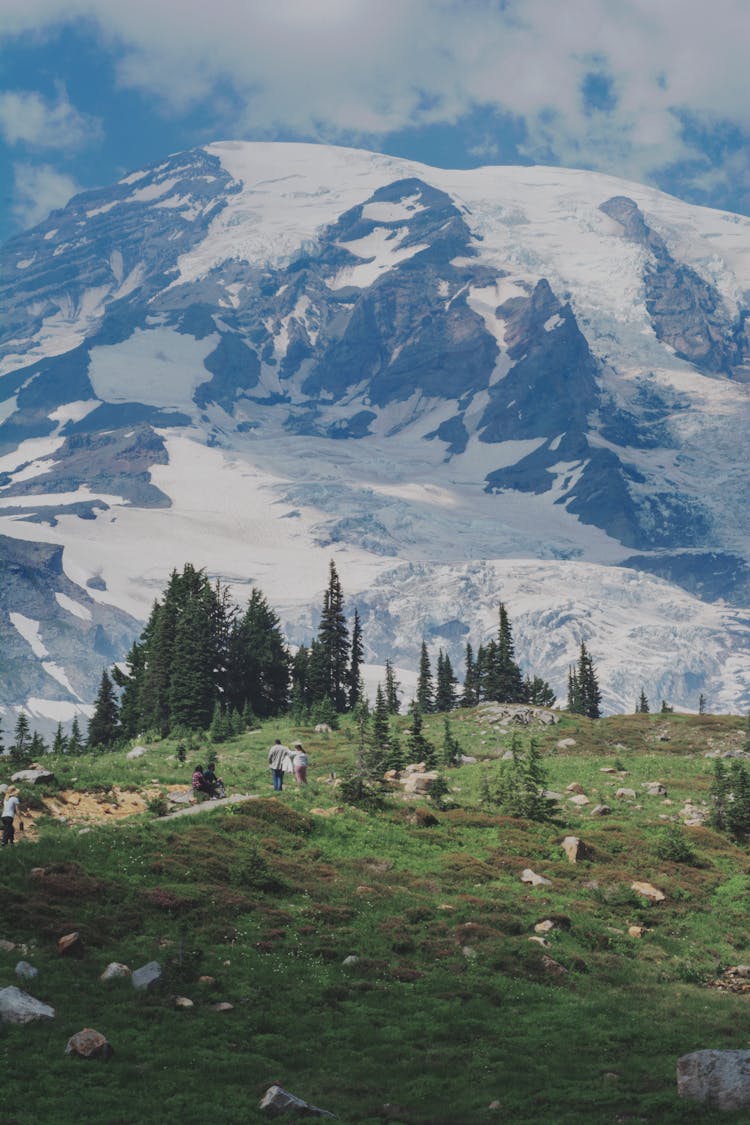 Mountains In Summer