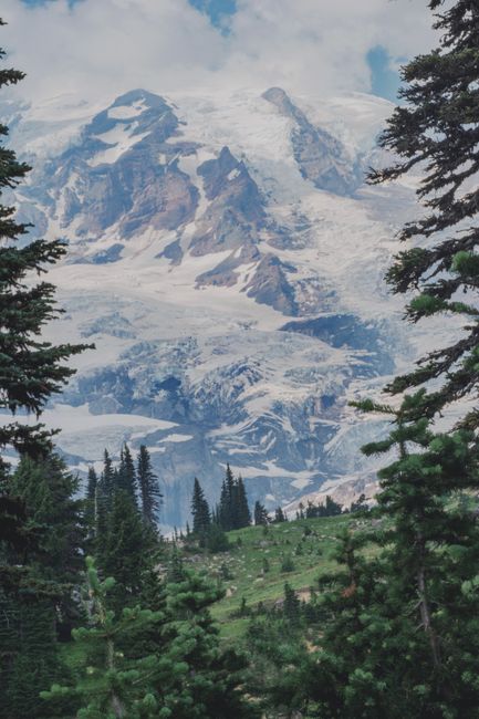 Stunning snow-capped mountain with lush evergreen trees in the foreground.