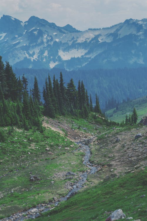 Stream in Mountains