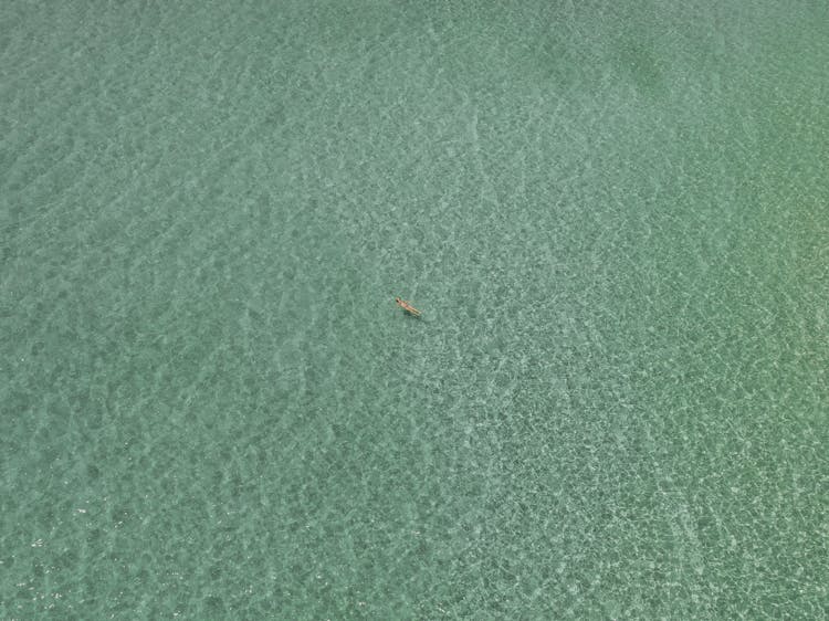 Person Swimming On Sunlit Water