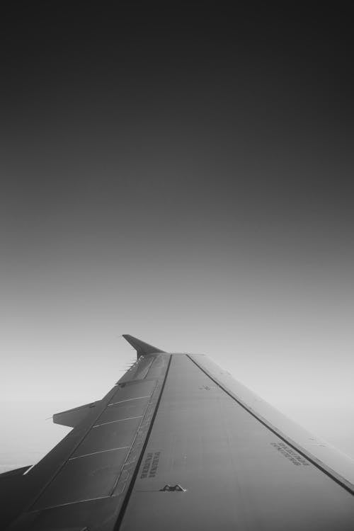 https://images.pexels.com/photos/17477413/pexels-photo-17477413/free-photo-of-black-and-white-picture-of-an-airplane-wing-and-clear-sky.jpeg?auto=compress&cs=tinysrgb&dpr=1&w=500