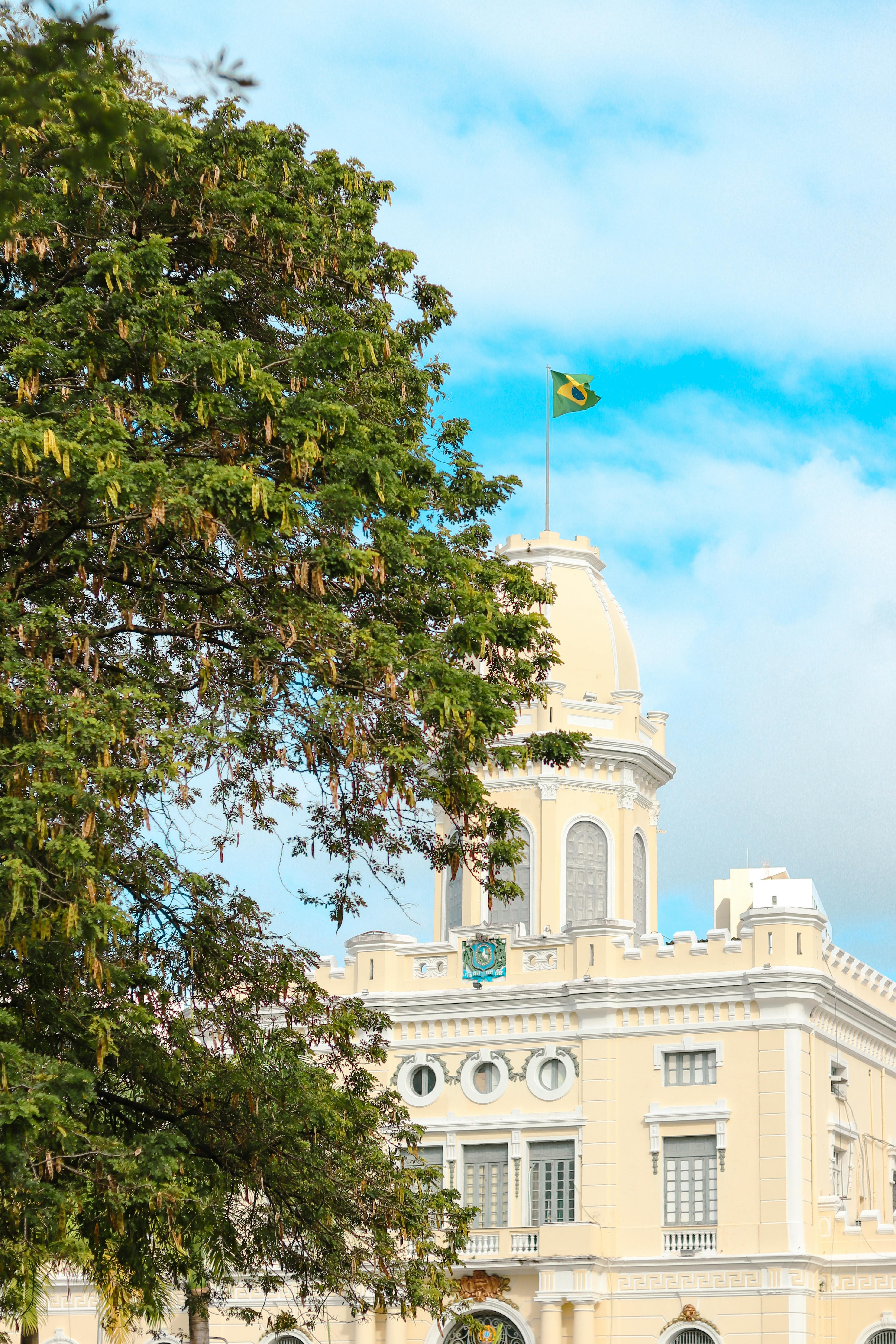 A stunning view of a historic building in Recife, Brazil, framed by a lush tree.