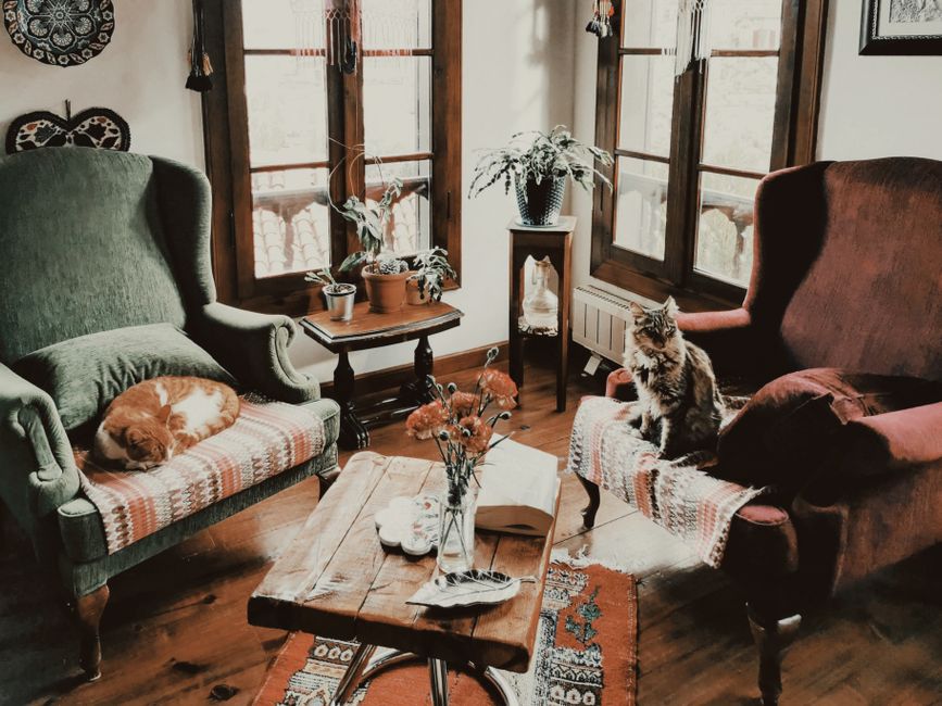 Espelhos Decorativos para Parede: Tipos e Uso em Ambientes