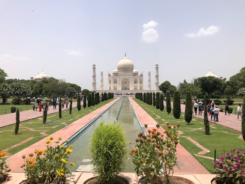 Immagine gratuita di agra, alberi, città