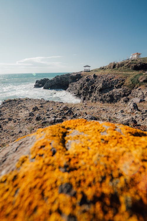 Rocky Seashore with Summerhouse