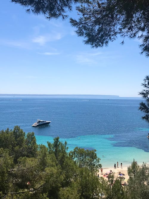 Δωρεάν στοκ φωτογραφιών με ακτή, δέντρα, διακοπές