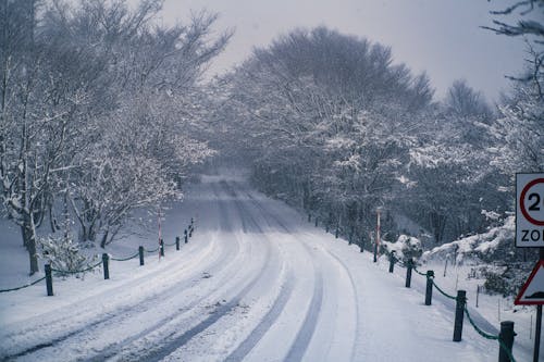 Snowfall over Road in Forest
