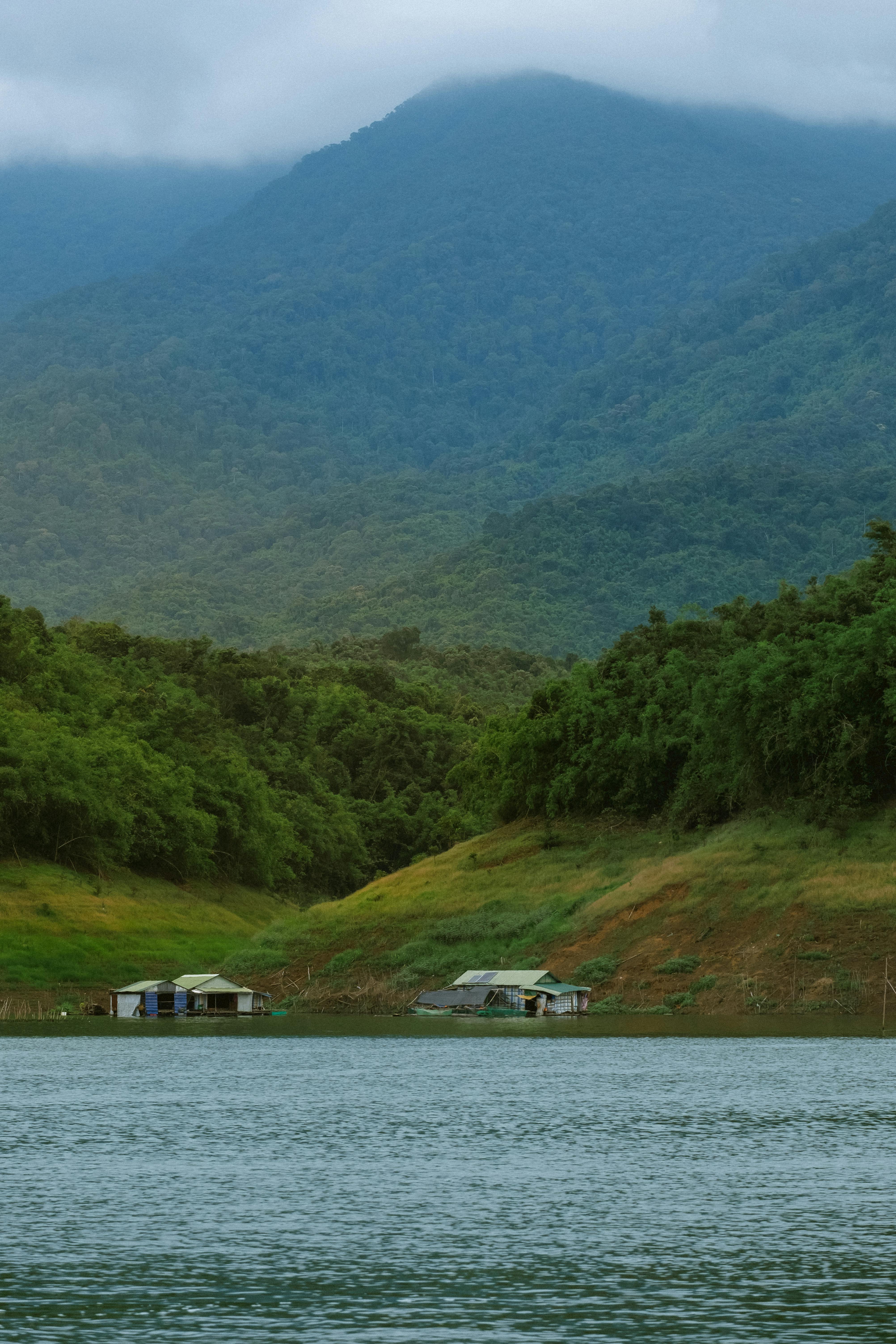 Serene landscape of Bao Loc's lush greenery and tranquil lakeside in Vietnam's Lam Dong province.